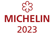 Michelin 23