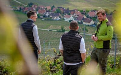 Une expérience unique dans les vignes !