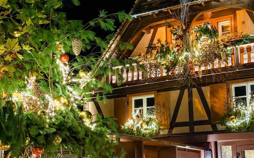 587008873 18491919058077670 5120191020342189023 n